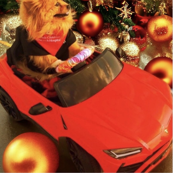 Happy New Year 🎆 2024 - Picture 4 of 14